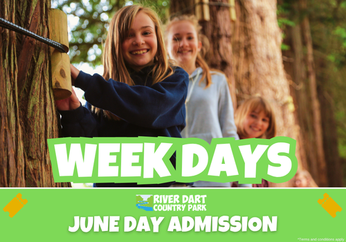 JUNE WEEKDAYS DAY ADMISSION
